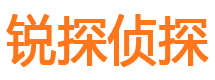 丰宁侦探公司